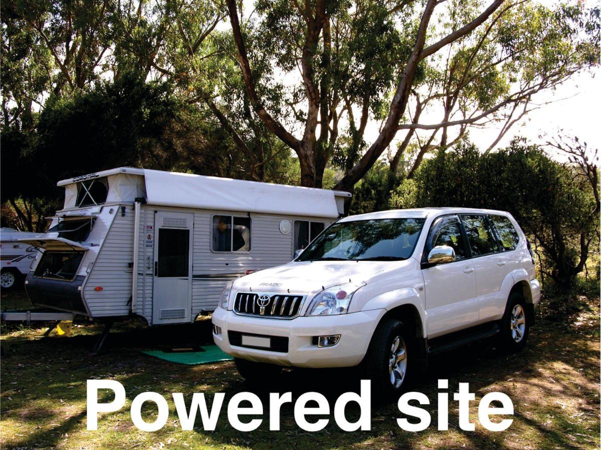 Bimbi Park - Camping Under Koalas Cabo Otway Exterior foto