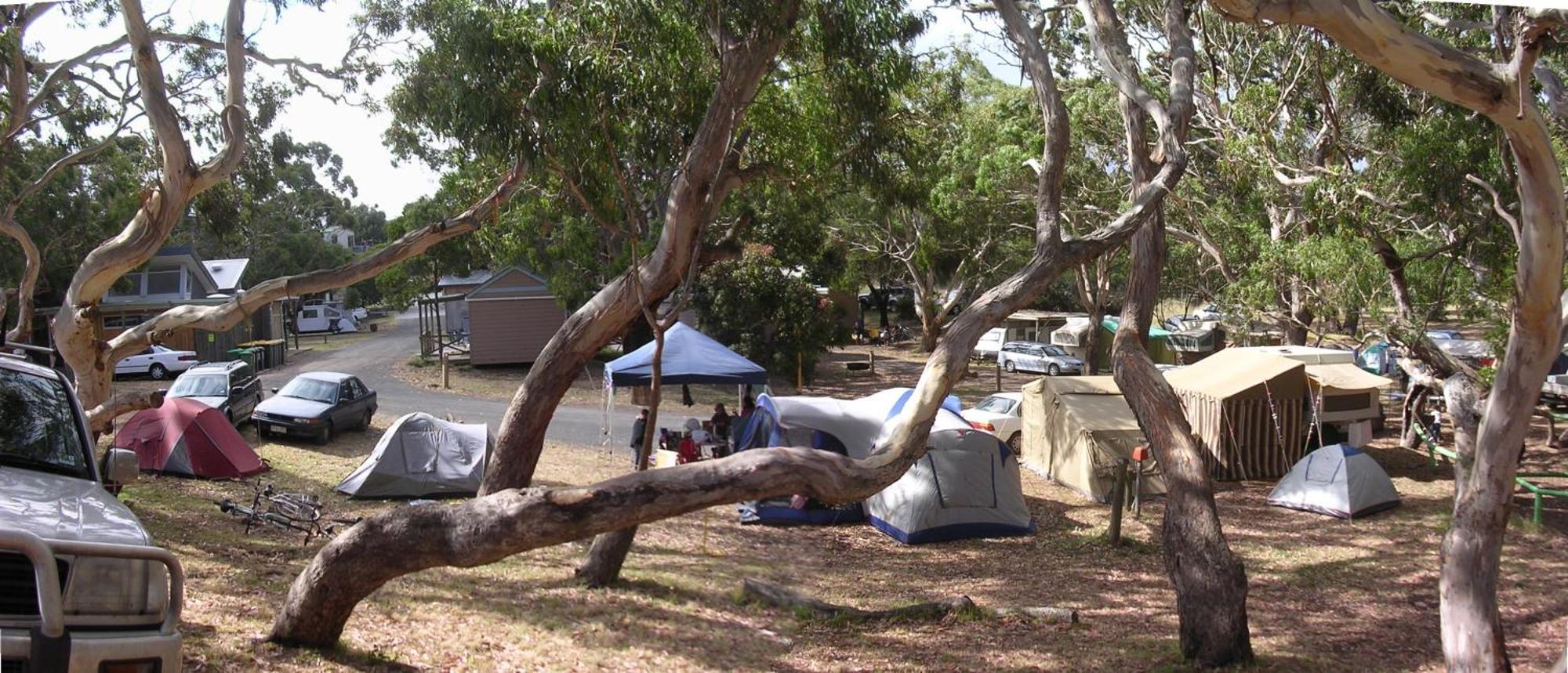 Bimbi Park - Camping Under Koalas Cabo Otway Exterior foto