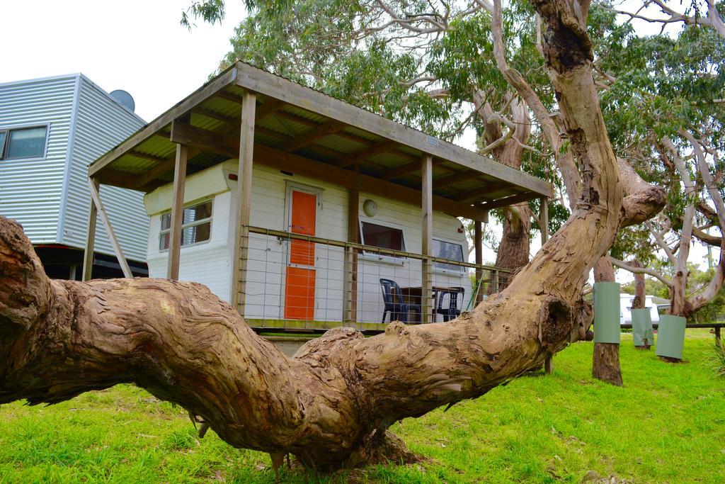 Bimbi Park - Camping Under Koalas Cabo Otway Exterior foto