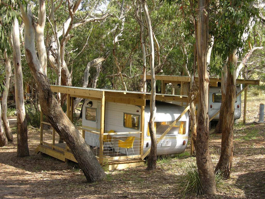 Bimbi Park - Camping Under Koalas Cabo Otway Exterior foto