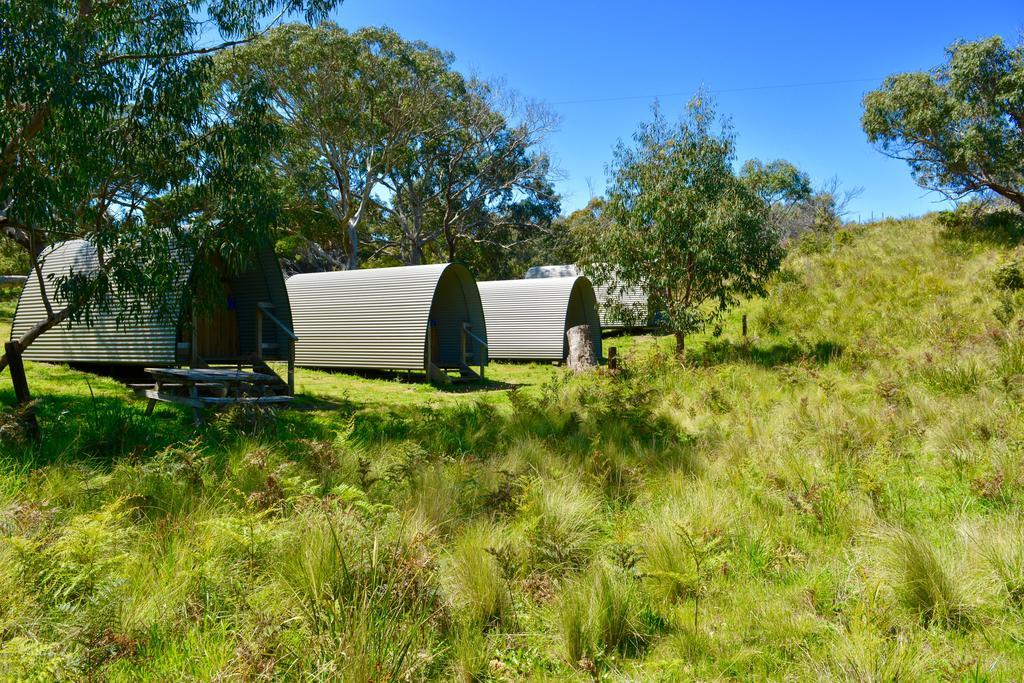 Bimbi Park - Camping Under Koalas Cabo Otway Exterior foto